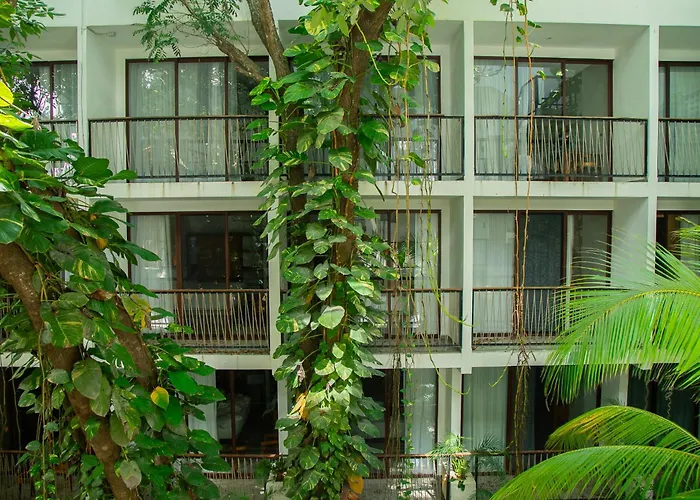 Hotel Living Bloom Concept Hotel Tulum (Adults Only)
