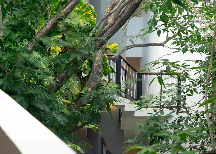 Hotel Living Bloom Concept Hotel Tulum (Adults Only) 3*