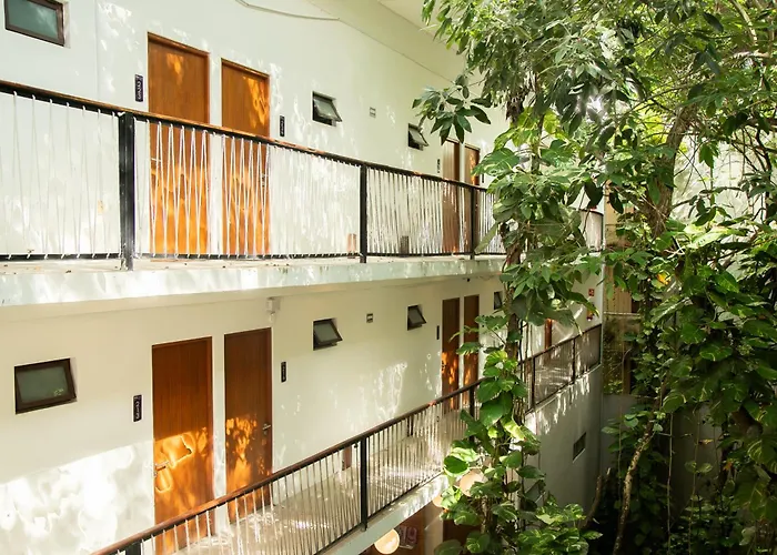 Living Bloom Concept Hotel Tulum (Adults Only) 3*