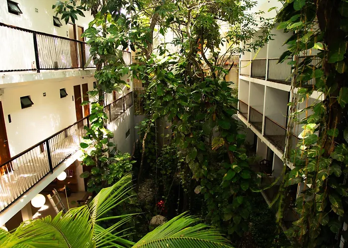 Living Bloom Concept Hotel Tulum (Adults Only) Hotel 3*