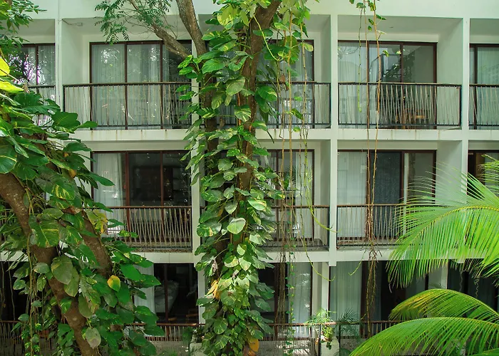Hotel Living Bloom Concept (adults Only)