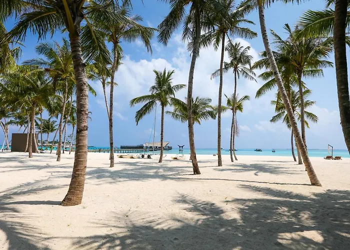 Living Bloom Concept Hotel Tulum (Adults Only) Hotel Tulum