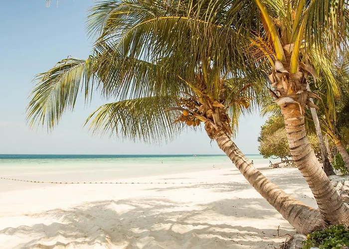 Hotel Living Bloom Concept Hotel Tulum (Adults Only) Tulum